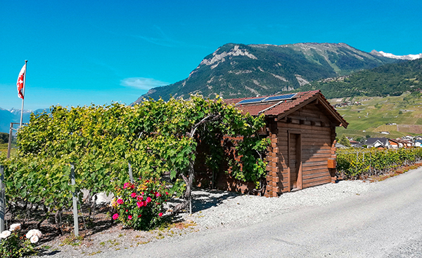 mazot Domaine des Roses