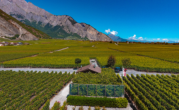 mazot Domaine des Roses